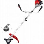 Einhell Motocoasa GC-BC 25/1 I AS, 3401957